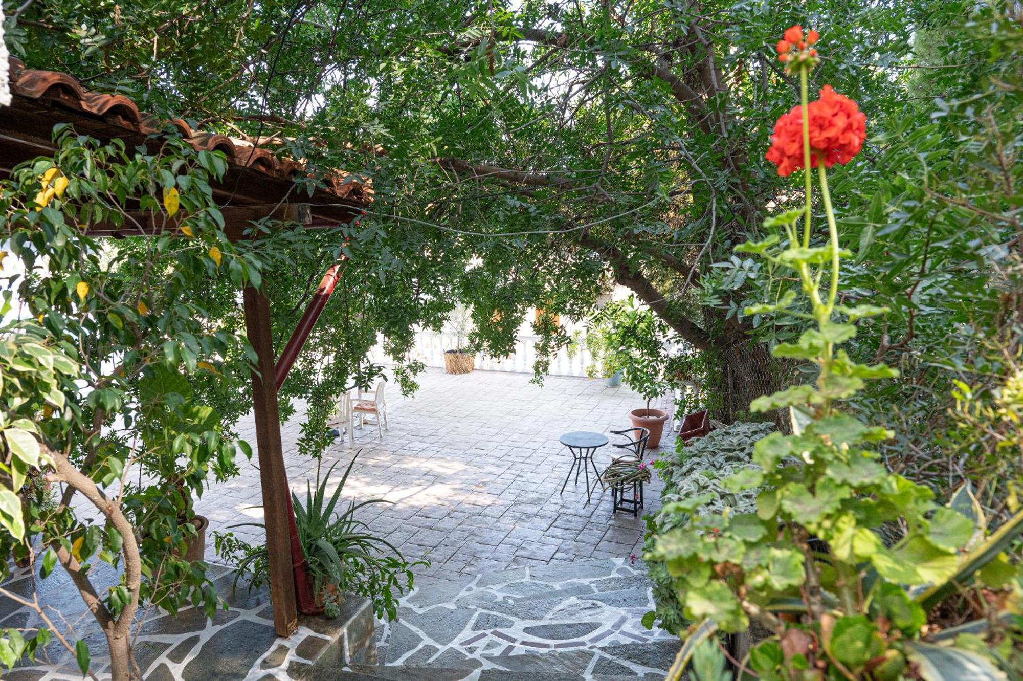Lions 2 Studios & Apartments, Poros Island. Poros Town Ngoại thất bức ảnh